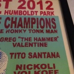 RIOT FEST 2012 Steve Walters Poster Print FRAMED Gogol Bordello FRAMED