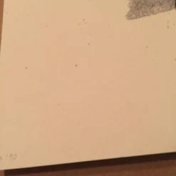 AIIA - Delicious Design Poster Print Chicago, IL Pitchfork Music Festival Union