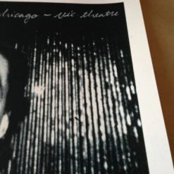 The Dead Weather 07/29/2009 Rob Jones Poster Print Chicago Vic Night 2 S/N