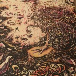 Widespread Panic - Miles Tsang DAWN Poster Print St. Louis MO Peabody Opera Gig Posters