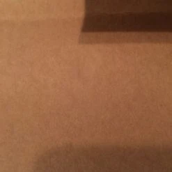 Geen Ween - 2/13/10 Lincoln Hall Delicious Design Poster Print Chicago, IL