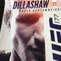 Sold Out Posters UFC 177 -2014 Poster Print Dillashaw Vs. Barao II 2 MMA