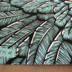 Widespread Panic - 2014 Shock Studios Poster Print Cleveland OH Jacobs Pavillion