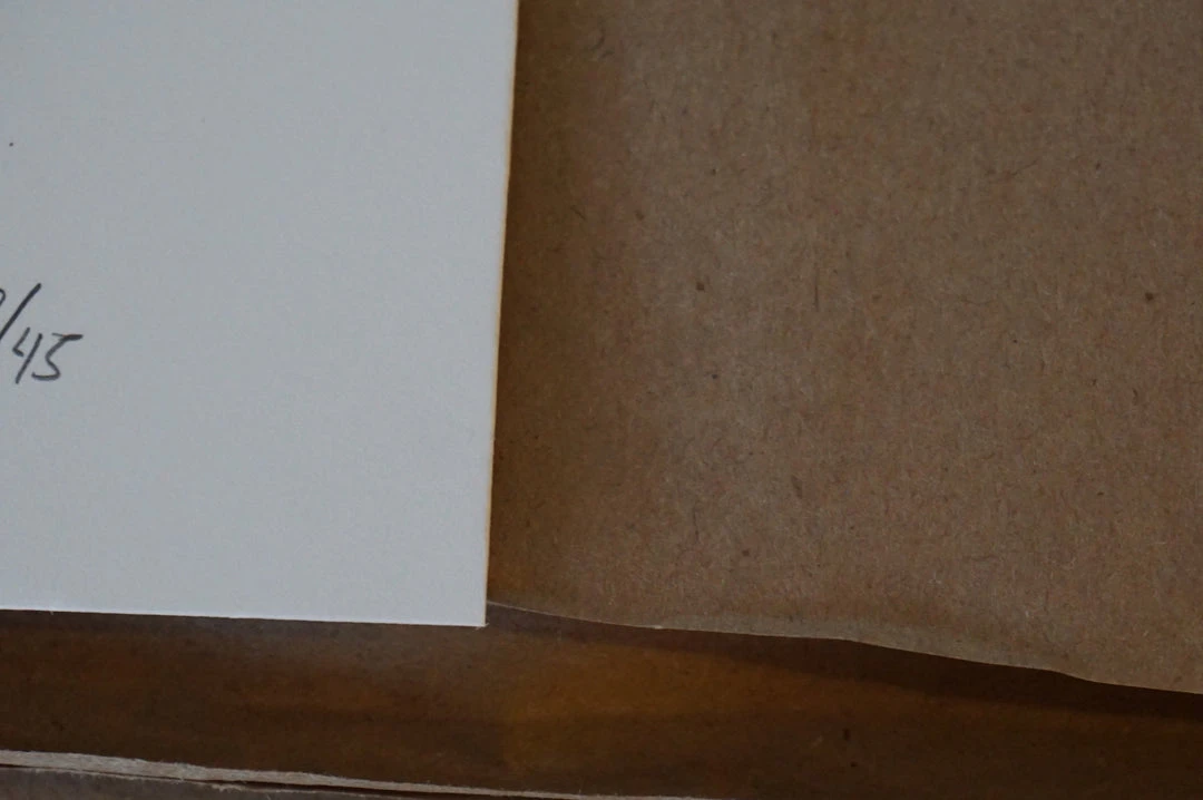 Movie/TV Posters Wonka Nutty Crunch - 2015 Justin Van Genderen Poster Gene Wilder