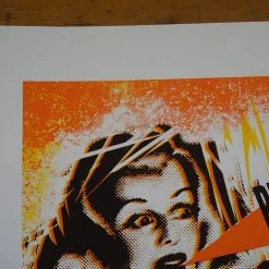 Pretty Lights - 2012 Carlos Hernandez Poster Houston, TX Bayou