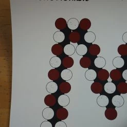 Gig Posters Arctic Monkeys - 2013 Third Alert Designs Poster Print Fox Theater Oakland CA 2