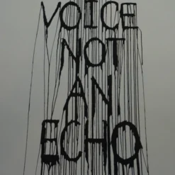 Be A Voice Not An Echo - 2015 Hijack Poster Street Art Brainwash Mr Brainwash