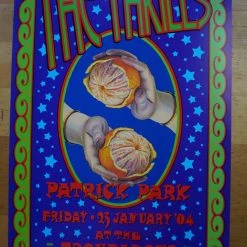 The Thrills - 2004 Dennis Loren Poster Patrick Park Troubadour Gig Posters