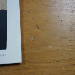 Umphrey's McGee - 2016 Delicious Design League Poster Madison Gig Posters