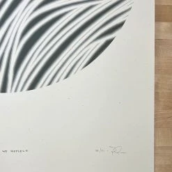 The Light We Reflect - 2021 Jay Ryan Poster Art Print