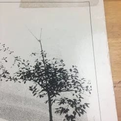 Sold Out Posters Manhattan - 1979 Cinema Poster, Movie Print, Original