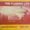 Sold Out Posters The Flaming Lips - 2002 Original Vinyl Poster Insert 12x12 Record Art