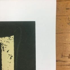 Gig Posters Pearl Jam - 2005 Brad Klausen Poster South America