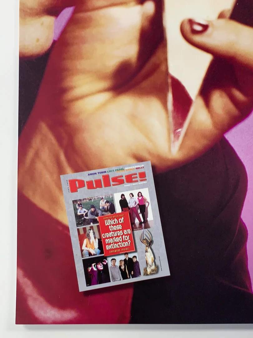 Sold Out Posters Sleater Kinney - 2000 Original Promo Poster June Pulse Tower Music