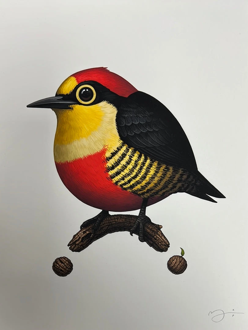 Art Prints Fat Bird - 2020 Mike Mitchell Poster Yellow Fronted Woodpecker AP