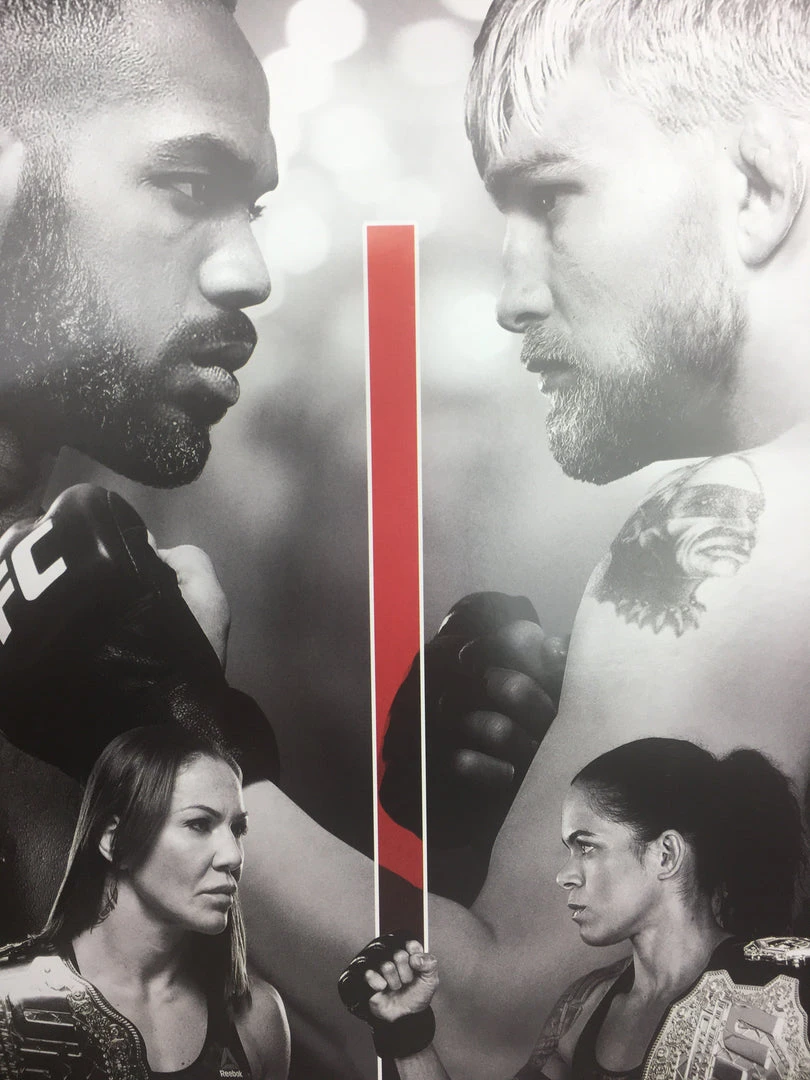 Sold Out Posters UFC 232 2018 Poster Jones Vs Gustafsson 2 & Cyborg Vs Nunes
