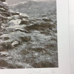 Dead Meadow/Sweet Apple - 2011 Dan MacAdam Crosshair Poster Los Angeles, CA Spac