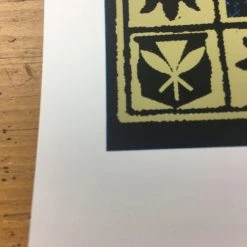 Eddie Vedder - 2009 Ryan Immegart Poster Maui, HI Castle Theater Honolulu, HI Ha