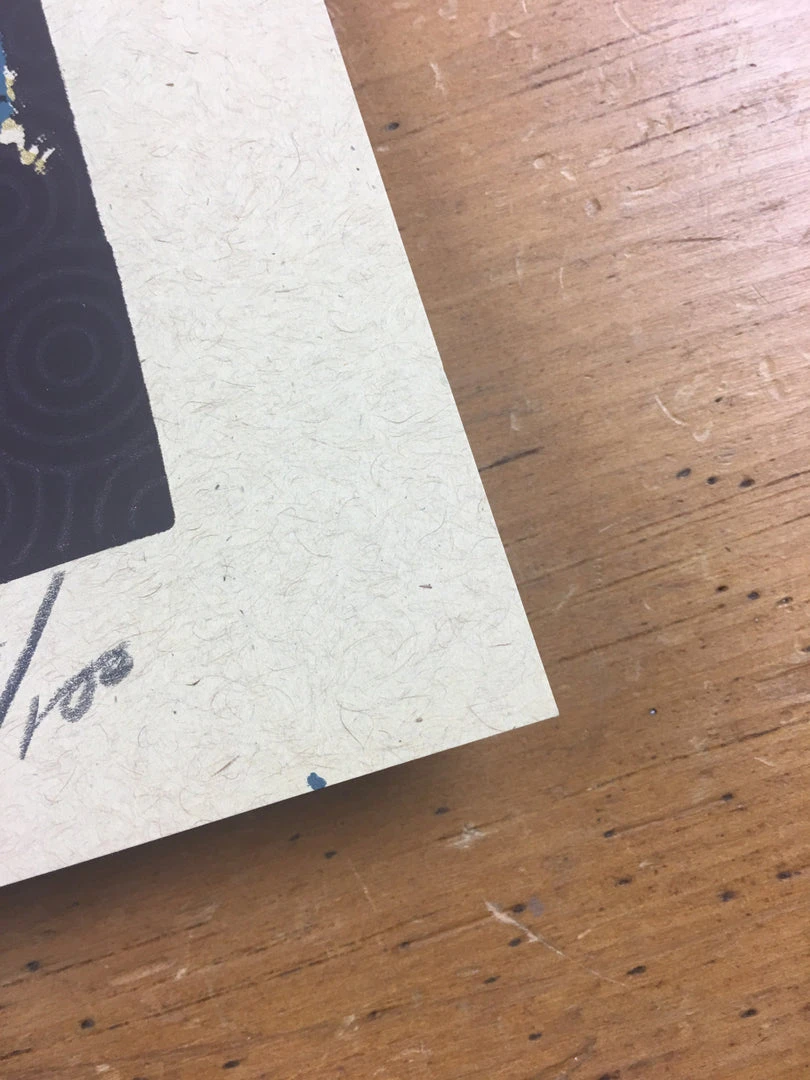 Gig Posters Bob Dylan - 2013 Xray Poster Art Print