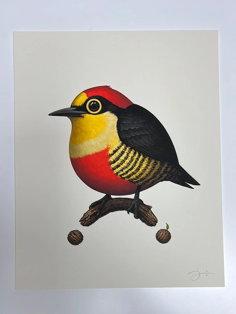 Art Prints Fat Bird - 2020 Mike Mitchell Poster Yellow Fronted Woodpecker AP