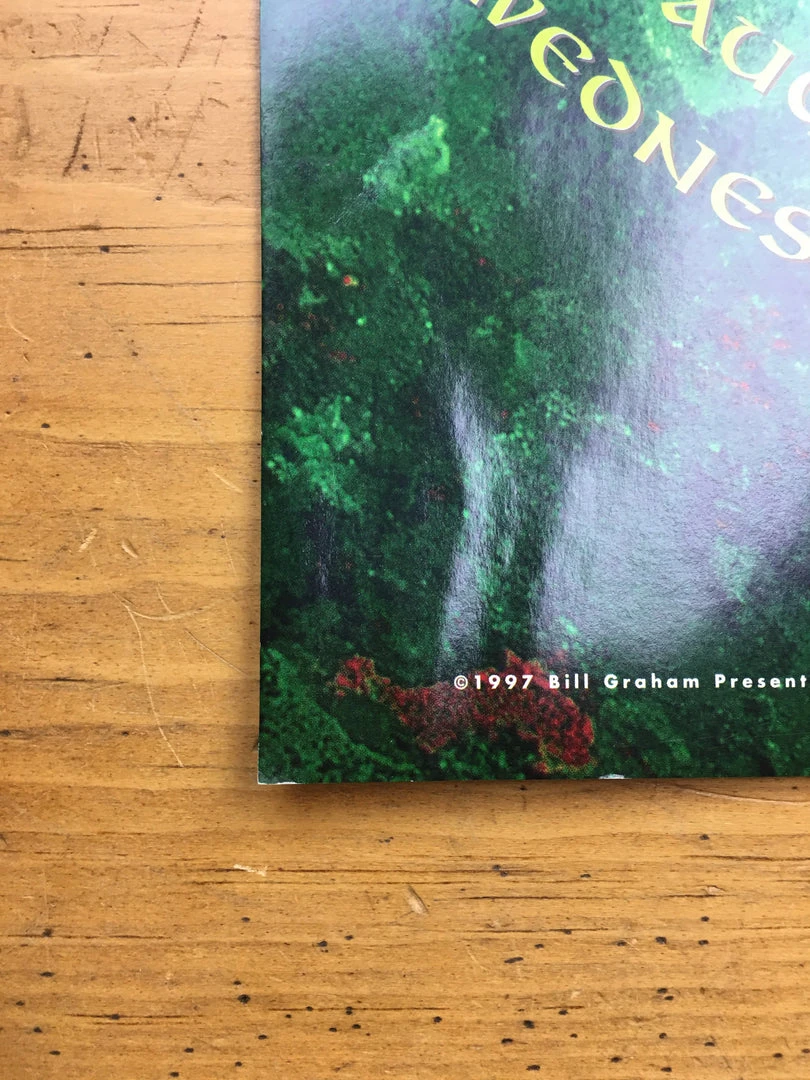 Gig Posters Sinead O'Connor - 1997 Frank Wiedemann Poster San Francisco, CA Warfield Theatre