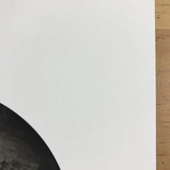 Fat Bird - 2017 Mike Mitchell Poster Himalayan Bulbul Art Prints