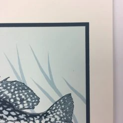 Black Crappie (Pomoxis Nigromaculatus) - 2015 Justin Santora Poster Art Print