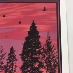 Art Prints Big Birds Flying Across The Sky - 2011 Dan McCarthy Poster Art Print