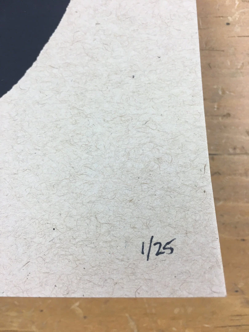 Gig Posters Bob Dylan The Rolling Stone - 2014 Brian Methe Art Print