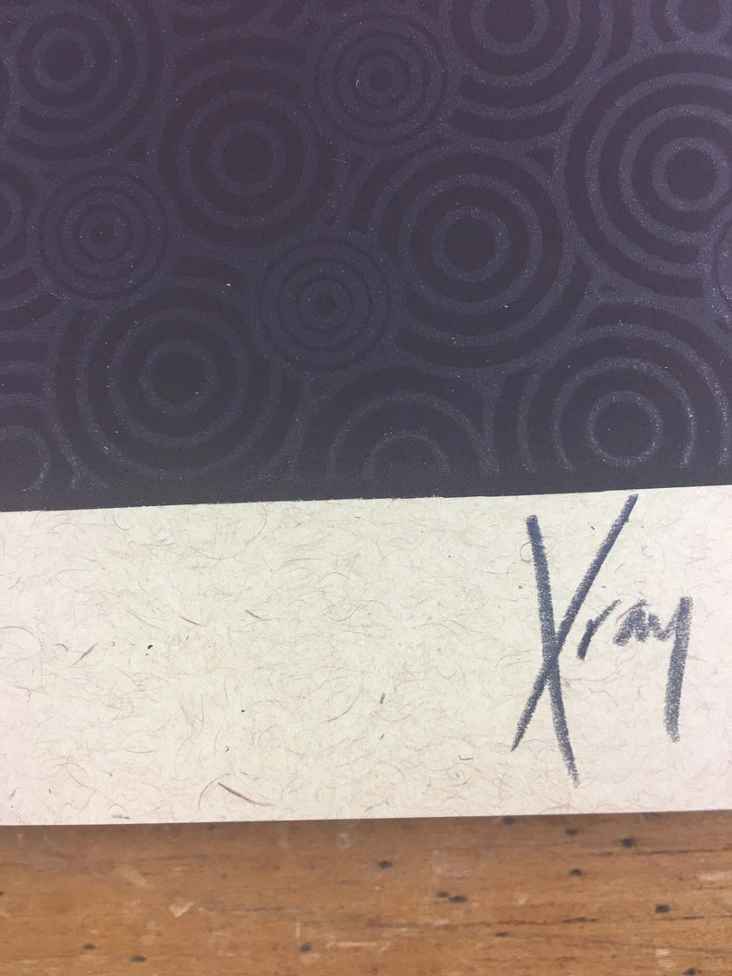 Gig Posters Bob Dylan - 2013 Xray Poster Art Print