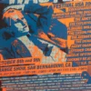 Wasted Festival USA - 2005 Stainboy Poster Orange Show San Bernardino, CA Gig Posters