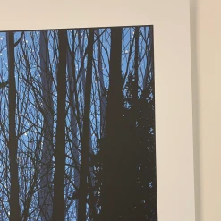 A Night In The Forest - 2010 Dan McCarthy Poster Art Print