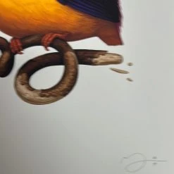 Fat Bird - 2020 Mike Mitchell Poster Rufous-Backed Dwarf Kingfisher AP Art Prints