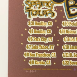 Yonder Mountain String Band - 2005 Gary Houston Poster Spring Tour