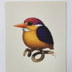 Fat Bird - 2020 Mike Mitchell Poster Rufous-Backed Dwarf Kingfisher 1st Art Prints
