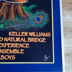 Northwest String Summit - 2005 Brian Langeliers Poster Plains, OR Horning's Hideout