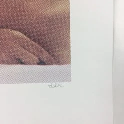 Art Prints Untitled (Bear Boobs) - 2008 Mike Budai Poster Art Print