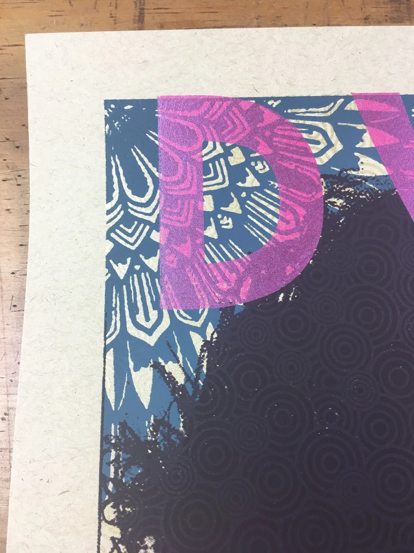 Gig Posters Bob Dylan - 2013 Xray Poster Art Print