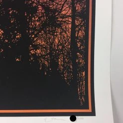 Art Prints Big Birds Flying Across The Sky - 2011 Dan McCarthy Poster Art Print