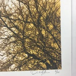 Flatstock 20 - 2009 Dan MacAdam Crosshair Poster Austin, TX Austin Convention Ce Gig Posters