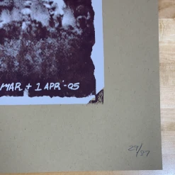 Colorado Yonder Mountain String Band - 2005 Table 2 Press Poster Boulder, CO Theater