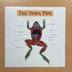 Sold Out Posters The Verve Pipe - 1999 Original Vinyl Poster Insert 12x12 Record Art