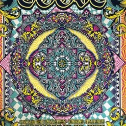 AJ Masthay Goose - 2021 Lex Leaming Poster Denver, CO Mission Ballroom