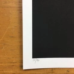 Flatstock 9 - 2006 Daniel Danger Poster Chicago, IL Union Park