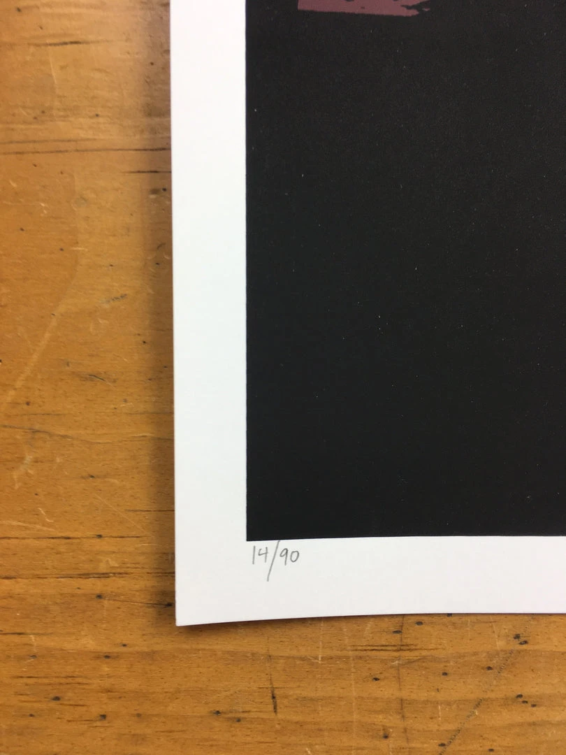 Flatstock 9 - 2006 Daniel Danger Poster Chicago, IL Union Park