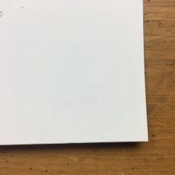 Gig Posters Tyvek - 2009 Mike Budai Poster Pittsburgh, PA Rickety House