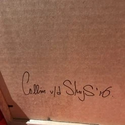 Untitled 15 - 2016 Collin Van Der Sluijs Original Painting FRAMED Signed