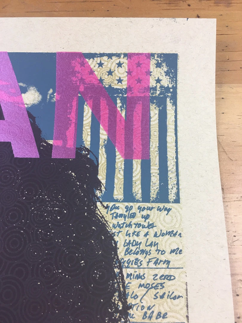 Gig Posters Bob Dylan - 2013 Xray Poster Art Print