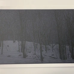 Art Prints Guiding Light - 2010 Dan McCarthy Poster Art Print