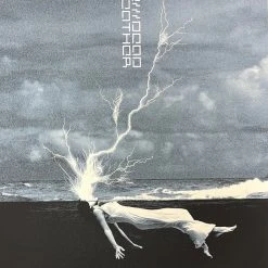 The Dead Weather - 2010 Rob Jones Poster Chicago, IL Congress Theater